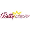Bally Wulff Online Casino Bonus 2022 ✴️ Bestes Angebot hier!