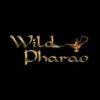 WildPharao Bonus Code August 2022 ✴️ Bestes Angebot hier!